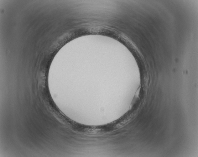 X0000082750497200702240042