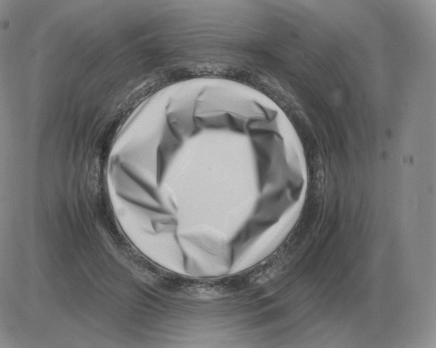 X0000082750498200702240042