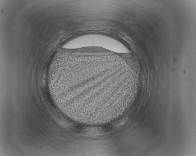 X0000082750499200702240042