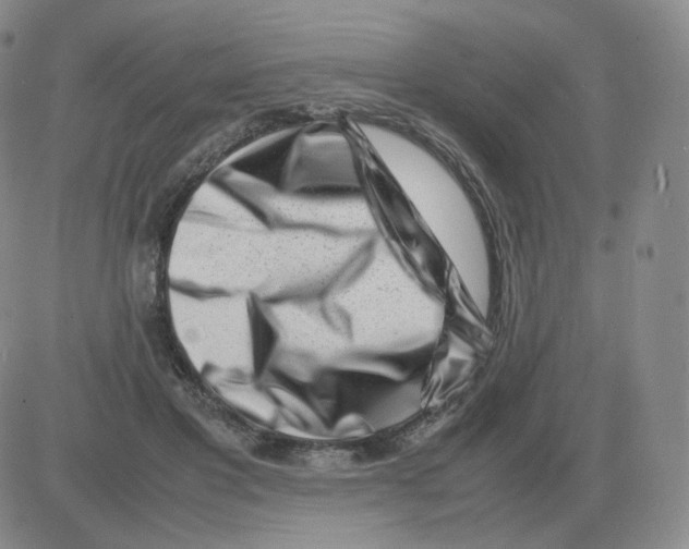 X0000082750501200702240042