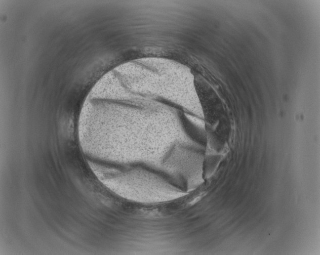 X0000082750502200702240042