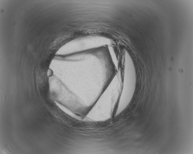 X0000082750503200702240042