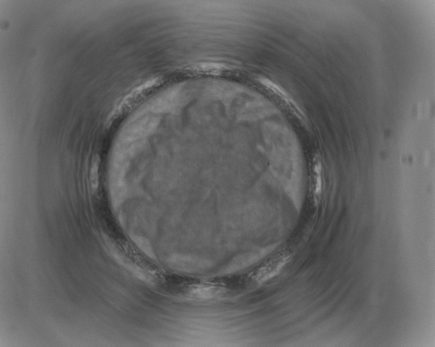 X0000082750504200702240042