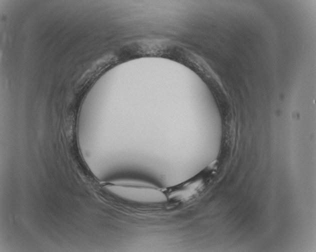 X0000082750505200702240042