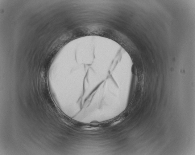 X0000082750506200702240042