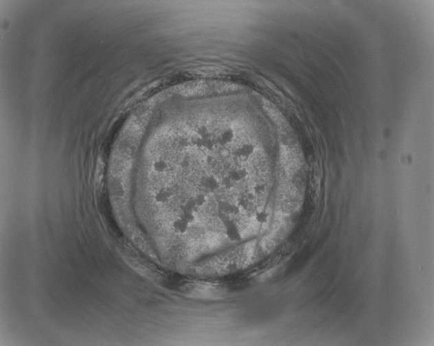 X0000082750507200702240042