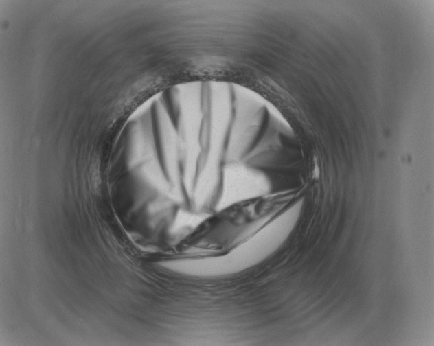 X0000082750508200702240042