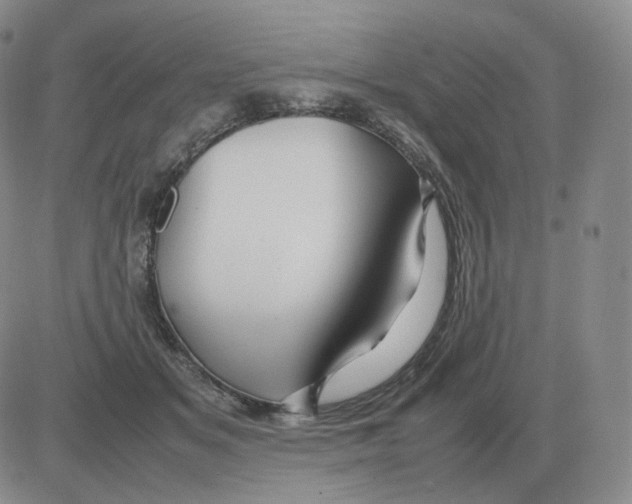 X0000082750509200702240042