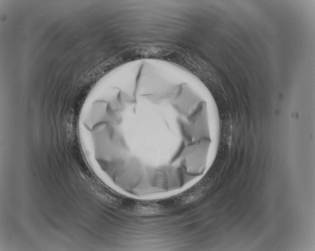 X0000082750510200702240042