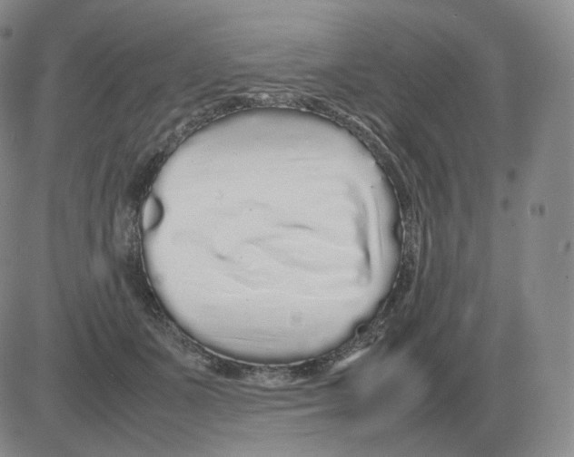 X0000082750511200702240042