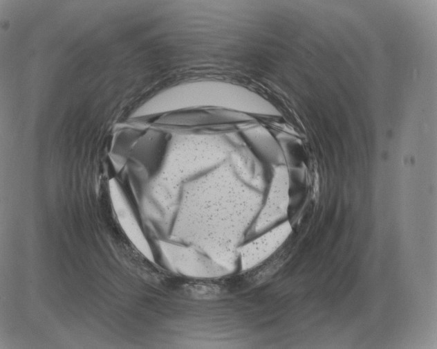 X0000082750512200702240042