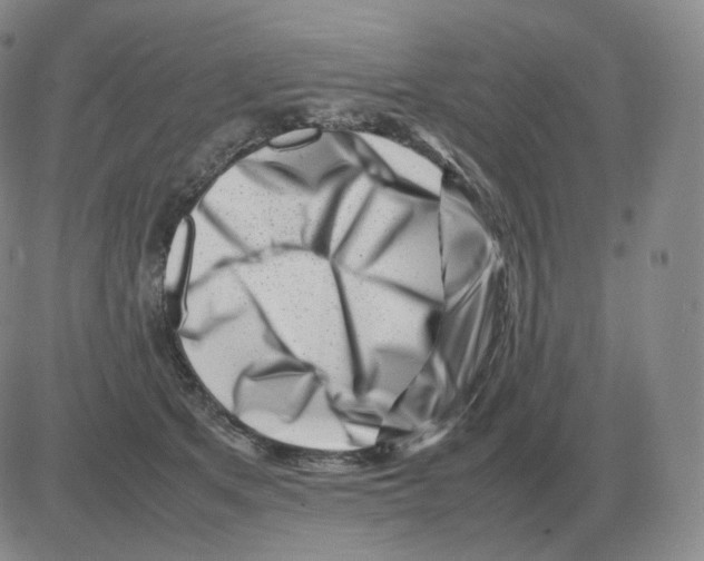 X0000082750513200702240042