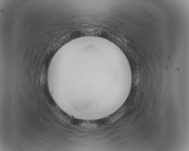 X0000082750515200702240042