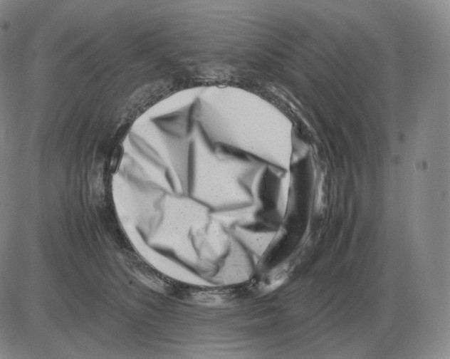 X0000082750516200702240042