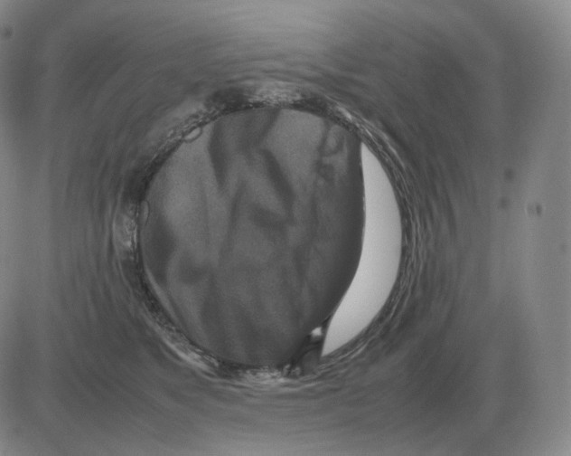 X0000082750517200702240042