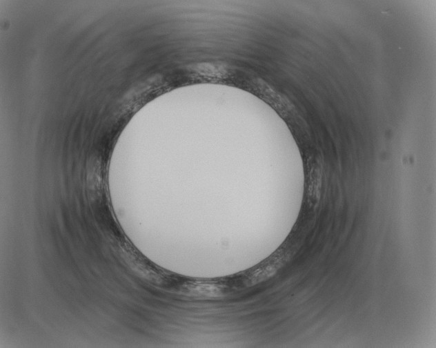 X0000082750518200702240042