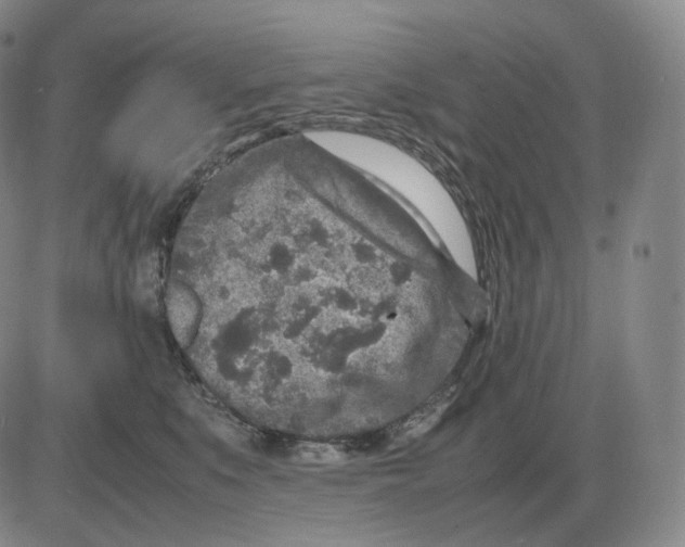 X0000082750519200702240042