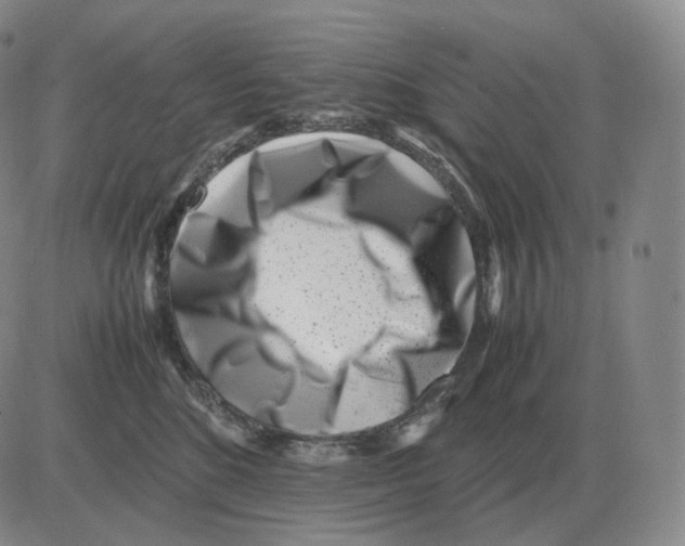 X0000082750520200702240042