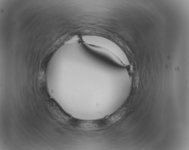 X0000082750521200702240042