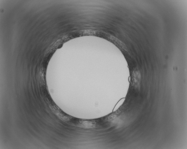 X0000082750522200702240042