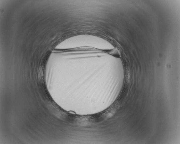 X0000082750523200702240042