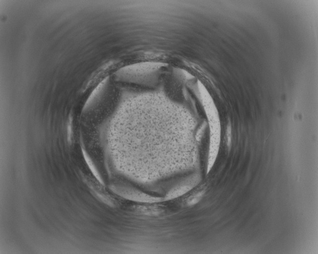 X0000082750524200702240042