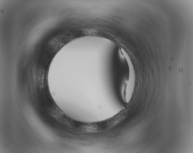 X0000082750525200702240042