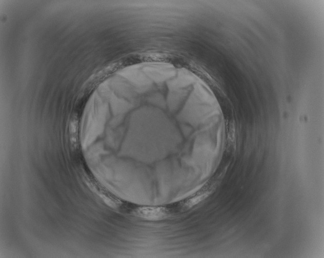 X0000082750526200702240042