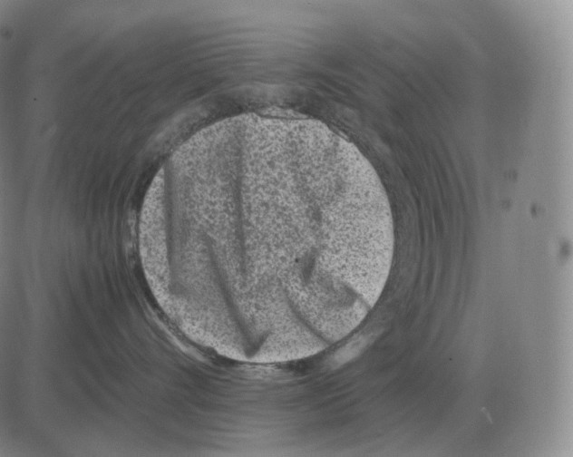 X0000082750528200702240042