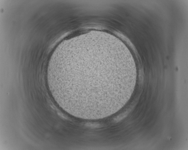 X0000082750529200702240041