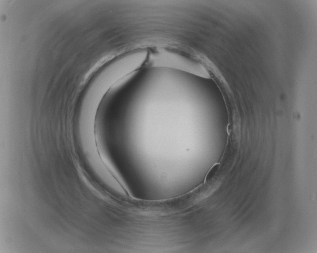 X0000082750530200702240041