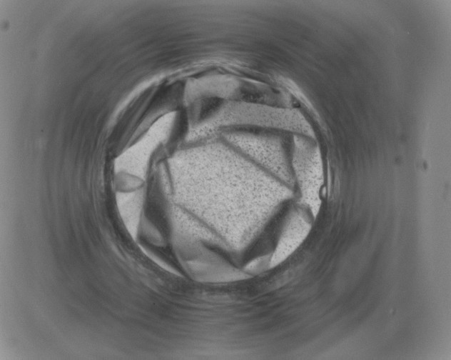 X0000082750531200702240041