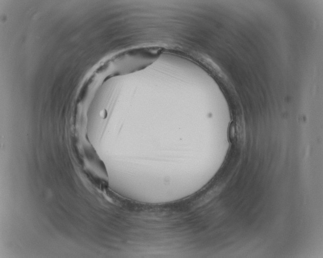 X0000082750532200702240041