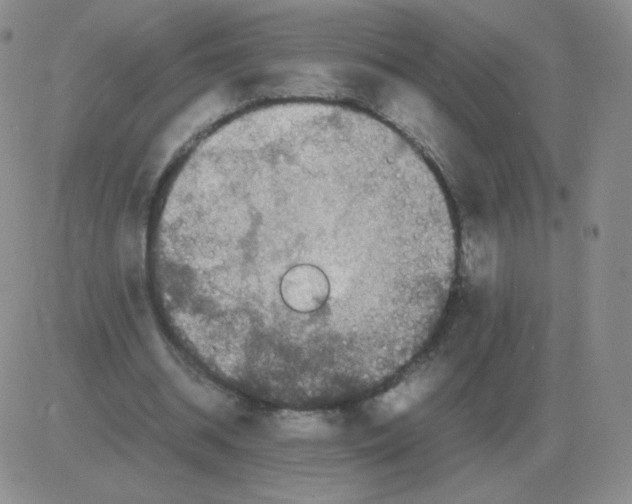 X0000082750534200702240041