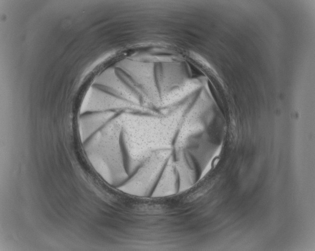 X0000082750535200702240041