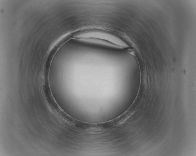 X0000082750536200702240041