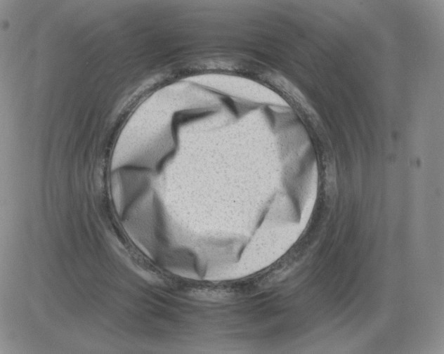 X0000082750537200702240041