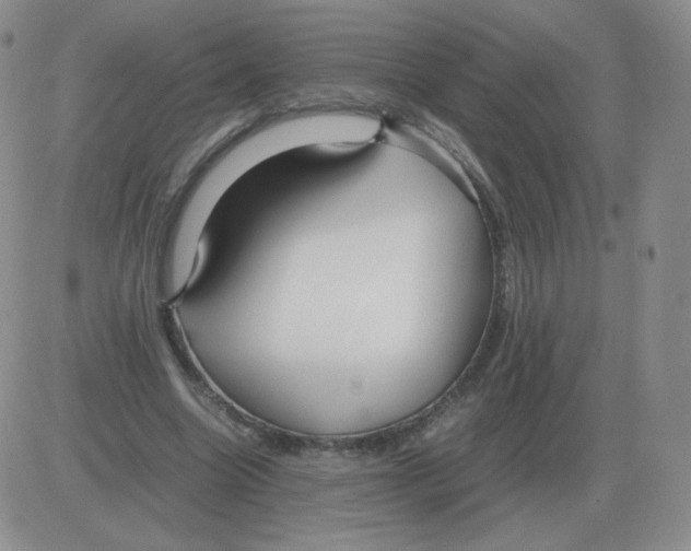 X0000082750538200702240041