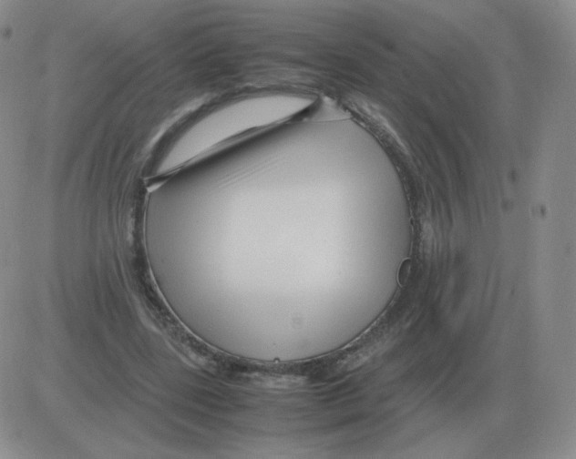 X0000082750539200702240041