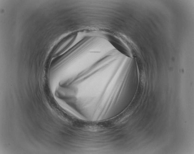 X0000082750540200702240041