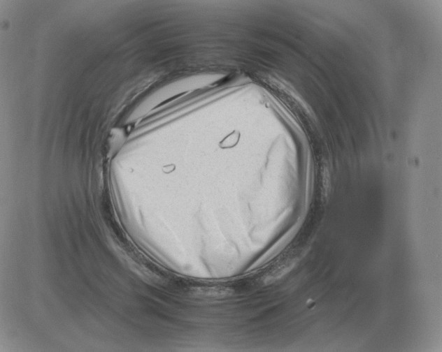 X0000082750541200702240041