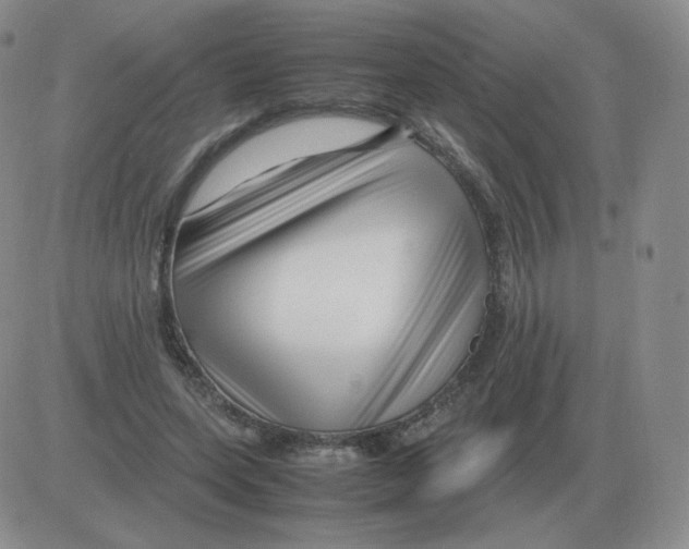 X0000082750543200702240041