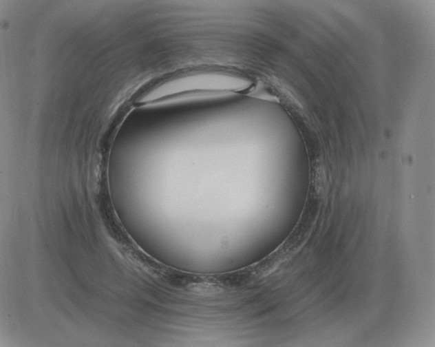 X0000082750544200702240041