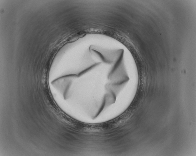 X0000082750545200702240041