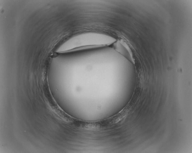 X0000082750546200702240041