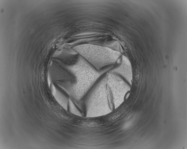 X0000082750547200702240041