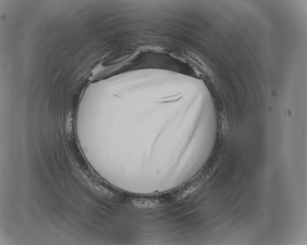 X0000082750549200702240041