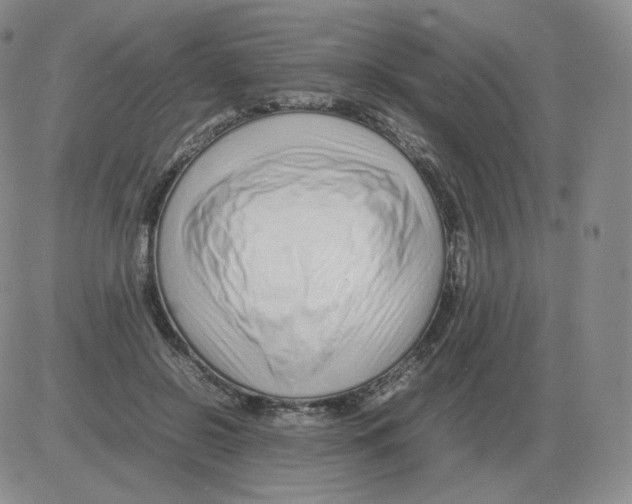 X0000082750550200702240041