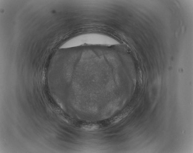 X0000082750551200702240041