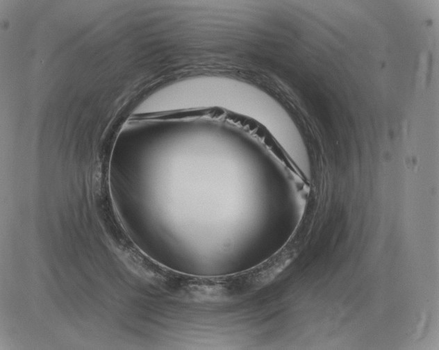 X0000082750552200702240041